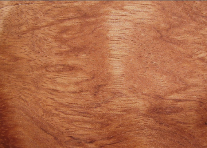 Bubinga