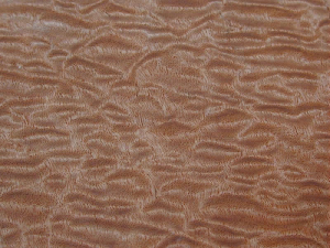 Sapele Pommele